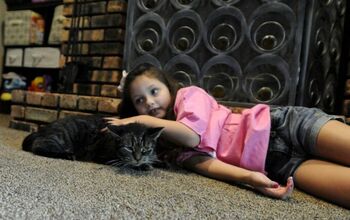 ‘Unadoptable’ Cat Shares Special Bond With New Furever Family