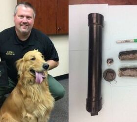 Family Dog Digs up $85K Worth of Heroin in Oregon Backyard