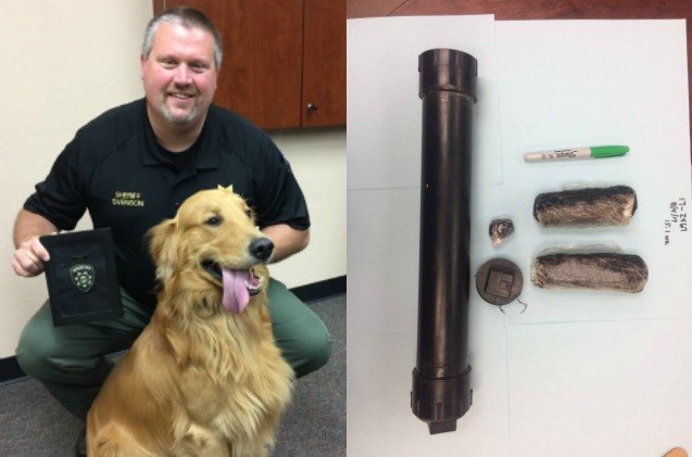 family dog digs up 85k worth of heroin in oregon backyard