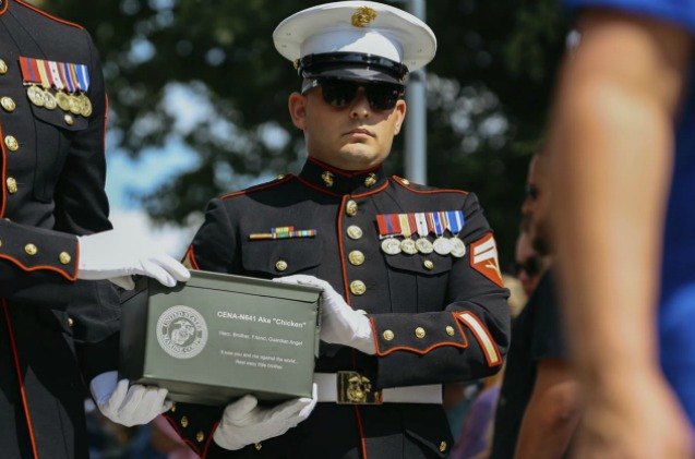 canine war hero 8217 s ashes laid to rest in touching tribute