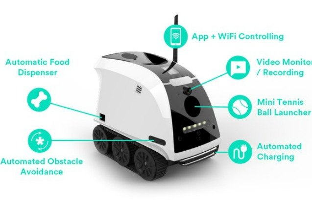 this kickstarter pet robot is bound to be your pets next best fri