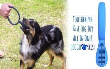 Keep Your Pooch’s Teeth Pearly White With the Doggie Fresh Tug Toy T