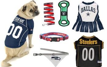 Top 7 Best Official NFL Fan Essentials to Get Your Dog Ready For Kicko