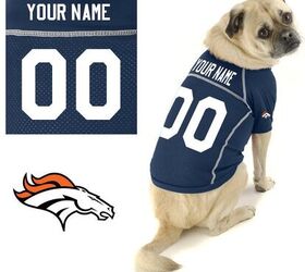 Best NFL jerseys for dogs on