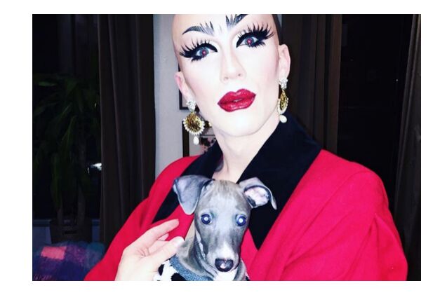 drag race winner sasha velour 8217 s dog sports fierce looks on instagram