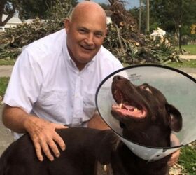 Florida Politician Wrestles Alligator to Save Dog’s Life