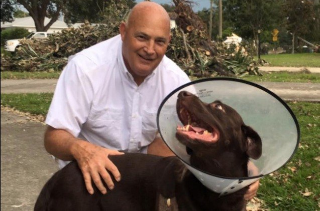 florida politician wrestles alligator to save dogs life