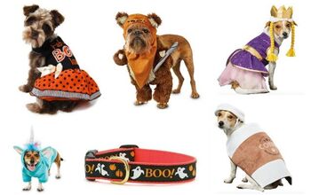 15 Dastardly Dog Costumes For a Spooktacular Halloween
