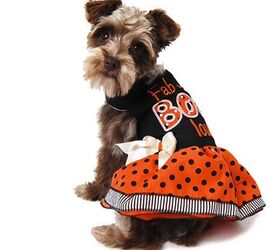 15 Spooktacular Dog Halloween Costumes: From Super-Cute to Super-Scary