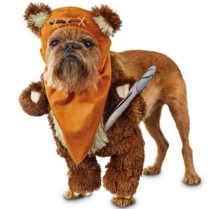 15 dastardly dog costumes for a spooktacular halloween