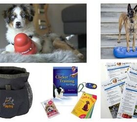 7 Gifts for People Who Love Dog Training