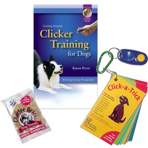 7 gifts for people who love dog training