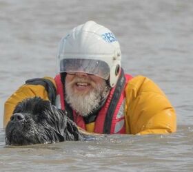 Dogs Become Lifeguards For The UK’s Hornsea Beach