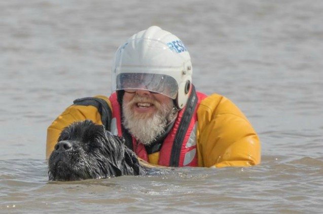 dogs become lifeguards for the uks hornsea beach