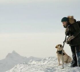 “The Mountain Between Us” Releases Spoiler to Let Viewers Know The