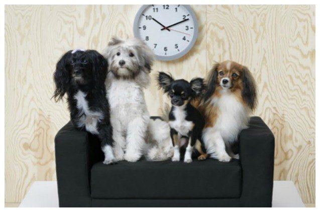 ikea introduces new pet line to the united states and we are 8220 lurvig 8221 it