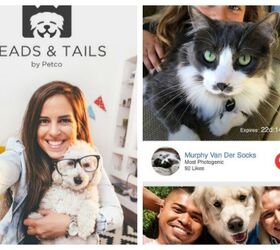 Smile for Petco’s Pet Selfie App – It’s For a Great Cause!