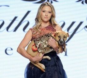 canine couture hits the catwalk for las fashion week