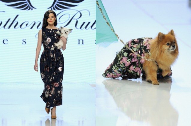 canine couture hits the catwalk for las fashion week