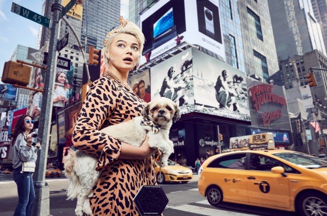 8220 paws of gotham 8221 calendar showcases diversity of pets and people in new