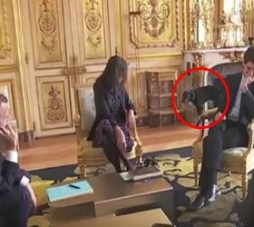 French President’s Dog Accused Of Palace Leaks (And It’s Hilarious