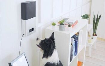 Petcube Developing Artificial Intelligence to Help Read Your Dog’s M
