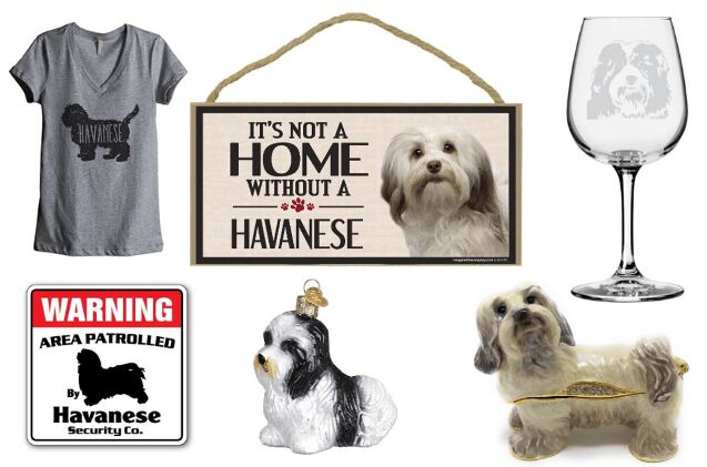 best handy dandy havanese treasures