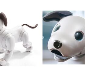sonys new aibo robotic dog is giving us puppy dog eyes