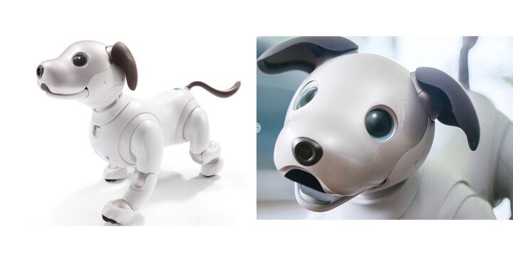 sonys new aibo robotic dog is giving us puppy dog eyes