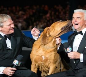 Purina’s National Dog Show Helps Hurricane Victims This Thanksgiving