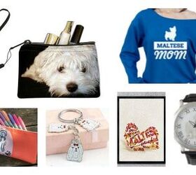 10 Pawsitively Magnificent Maltese Trinkets