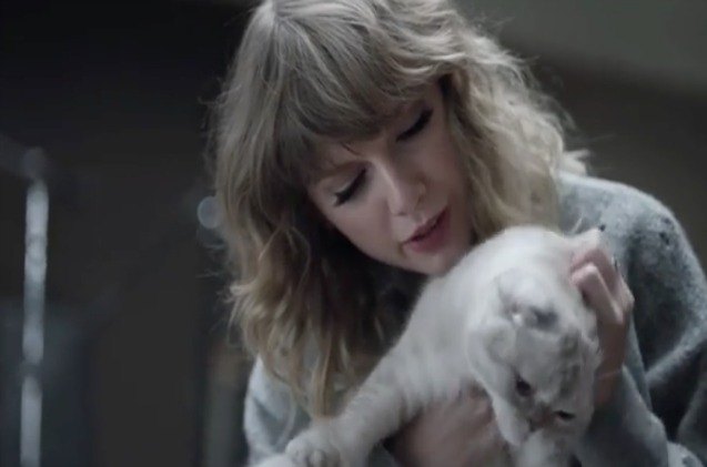 taylor swift 8217 s cats help her bide time as her new album rolls out