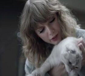 Taylor Swift’s Cats Help Her Bide Time as Her New Album Rolls Out