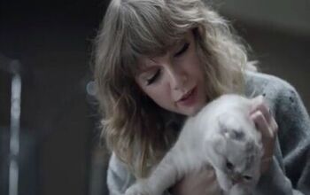 Taylor Swift’s Cats Help Her Bide Time as Her New Album Rolls Out