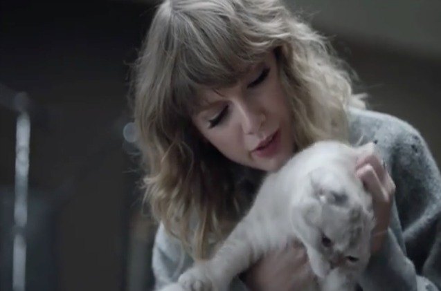 Taylor Swift s Cats Help Her Bide Time As Her New Album Rolls Out taylor-swift-s-cats-help-her-bide-time-as-her-new-album-rolls-out