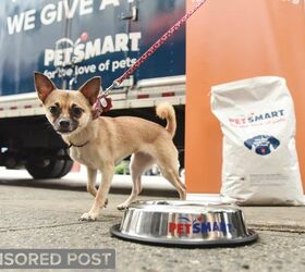 Buy a Bag and Give a Meal to Pets in Need This Holiday Season