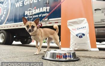 Buy a Bag and Give a Meal to Pets in Need This Holiday Season