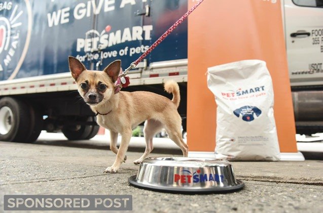 buy a bag and give a meal to pets in need this holiday season