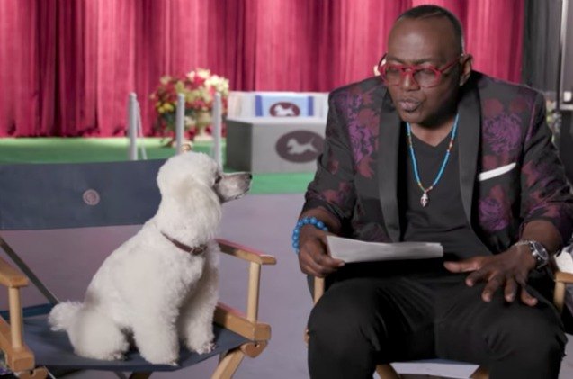 laugh 15 more watching geico 8217 s dog show ad starring randy jackson video
