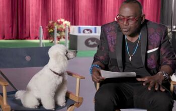 Laugh 15% More Watching Geico’s Dog Show Ad, Starring Randy Jackson 