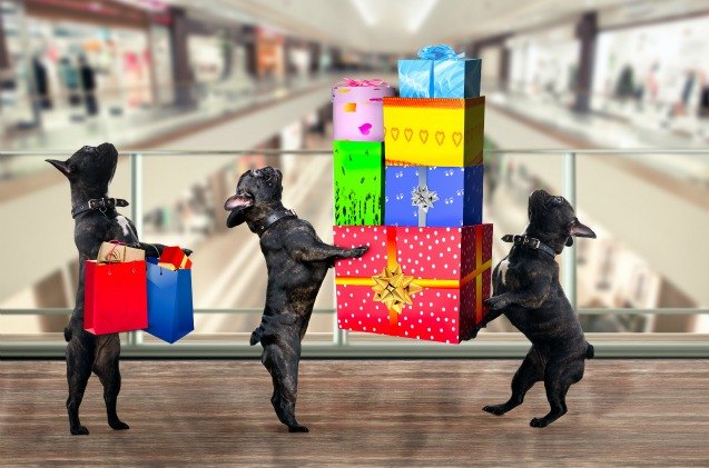 top 10 best black friday pet steals