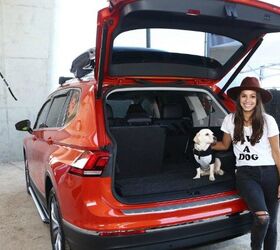 vw 8217 s tiguan was life of the party at wags wheels and waffles in california
