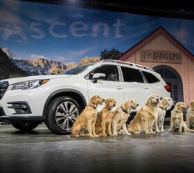 subarus famous barkleys family introduces its new ascent suv