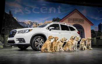 Subaru’s Famous “Barkleys” Family Introduces Its New Ascent SUV