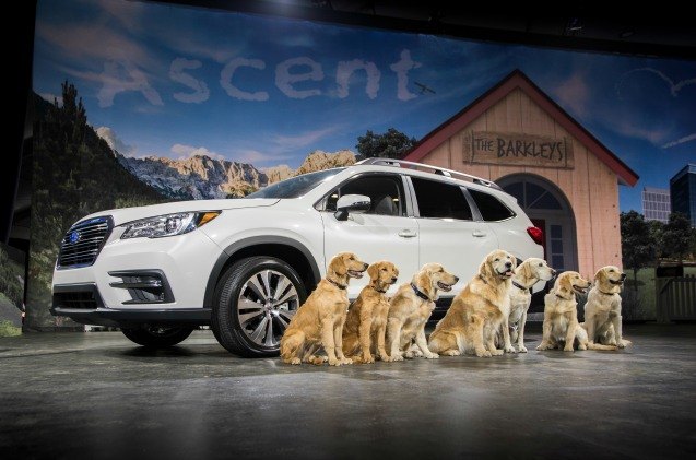 subarus famous barkleys family introduces its new ascent suv
