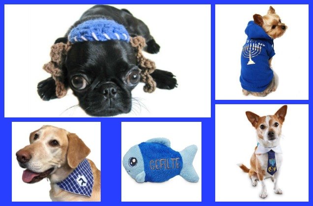 12 hanukkah pet essentials for eight crazy nights