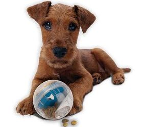 Pet Zone IQ Treat Ball Dog Toy 4 in.