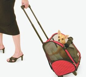 smart pet travel over the holidays with petsmart