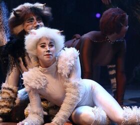 Service Dog Gets Caught Up in “Cats” and Joins Cast On Stage