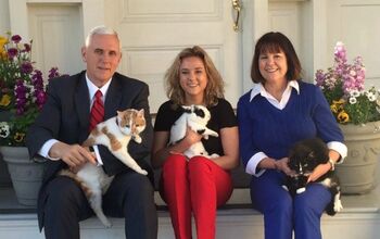 VP Pence’s Family Pays Touching Tribute to Beloved Family Cat